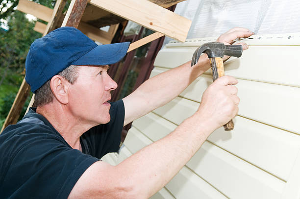 Affordable Siding Repair and Maintenance Services in Homer, MI